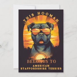 Anúncio Americano Staffordshire Terrier Parent Personaliza