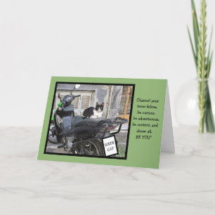 ANÚNCIO ANIVERSÁRIO/MOTOCICLISTA GATO/PERSONALIZÁVEL