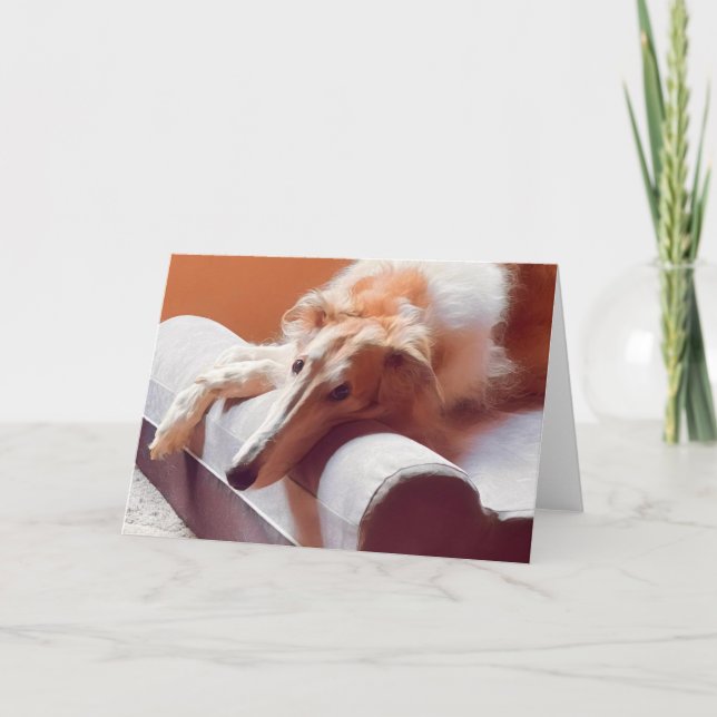 Anúncio Aquele Borzoi Face (Frente)