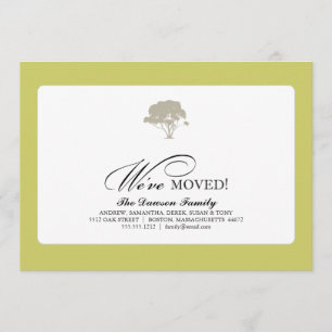 Anúncio árvore genealógica {movemos}