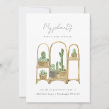 As minhas plantas têm uma nova mudança de casa