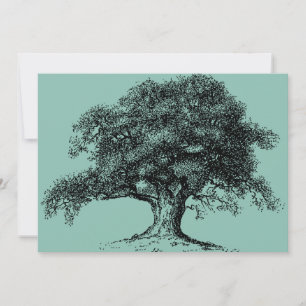 Anúncio Associação de Ancestrais da Árvore Familiar CHURRA