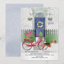 Bicicleta de Cachorro Movendo Nova Casa