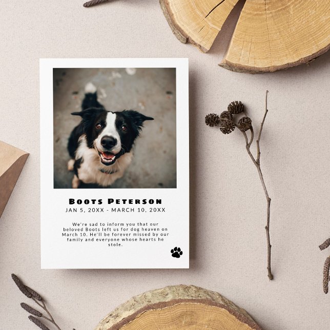Anúncio Black Pawprint Pet Loss Photo Announcement (Criador carregado)