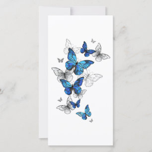 Anúncio Blue Flying Butterflies Morpho