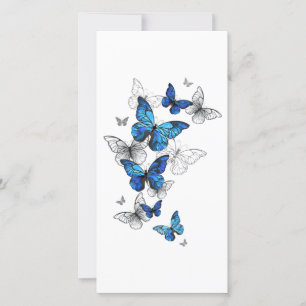 Anúncio Blue Flying Butterflies Morpho