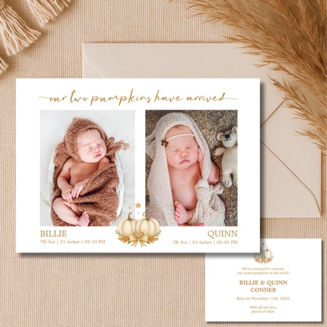 Anúncio Boho Pumpkins Baby Twins Photo Announcement (Criador carregado)