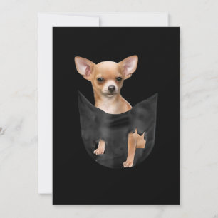 Anúncio Bonito Chihuahua No Seu Bolso De Natal
