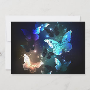 Anúncio Borboleta Noturna Esvoaçante
