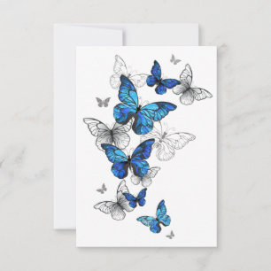 Anúncio Borboletas Azuis Voadoras Morpho