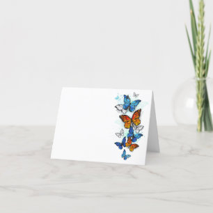 Anúncio Borboletas voadoras Morpho e Monarca