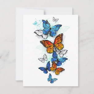 Anúncio Borboletas voadoras Morpho e Monarca