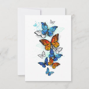 Anúncio Borboletas voadoras Morpho e Monarca