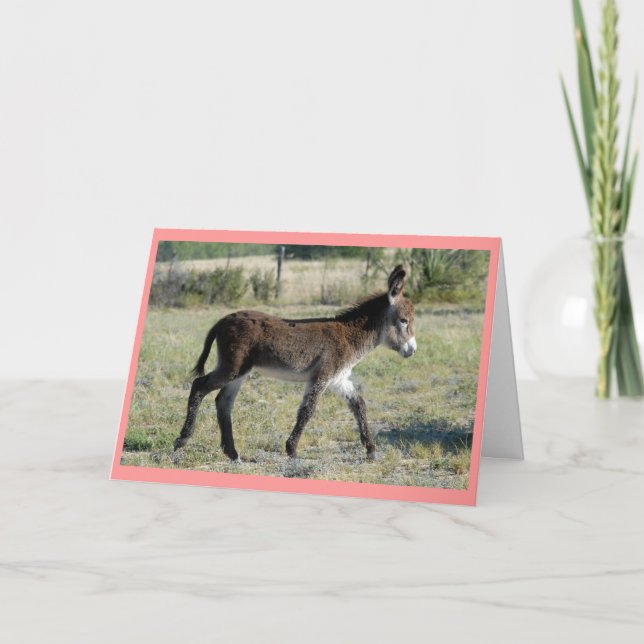 Anúncio "Burrito Baby Card" (Frente)