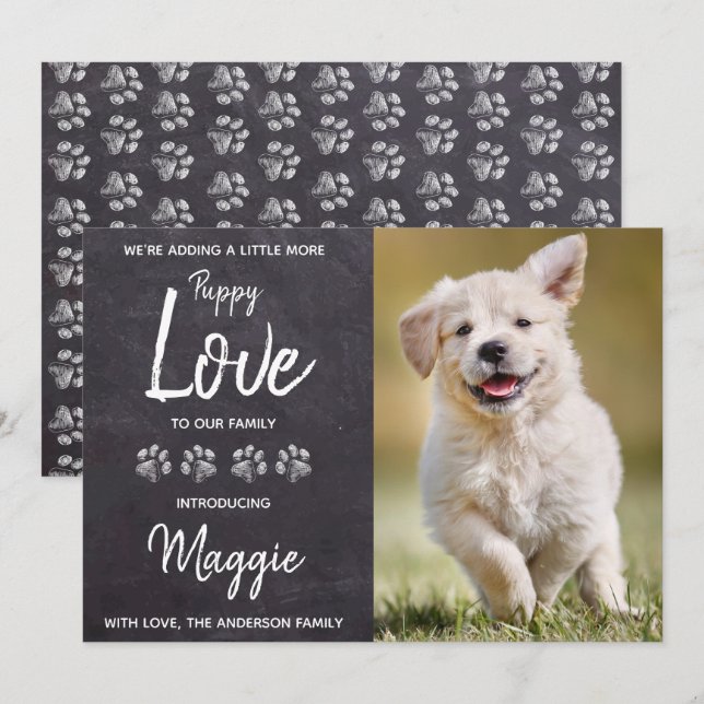 Anúncio Cachorro Adormecido Novo Pet (Frente/Verso)