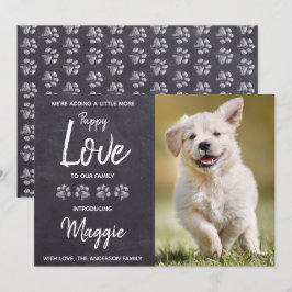 Anúncio Cachorro Adormecido Novo Pet