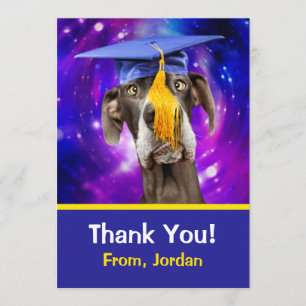 Anúncio Cachorro Engraçado Vestindo Chapéu