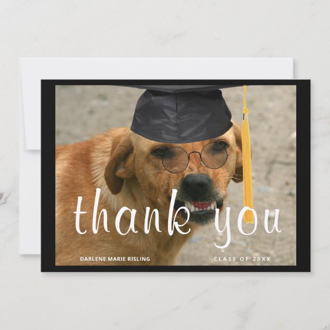Anúncio Cachorro Personalizado com Tassel (Frente)