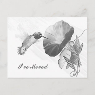 Anúncio Cartão Postal Beija-flor & Ipoméia Mudei de Endere
