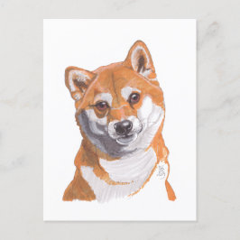Anúncio Cartão postal de 2019 Shibainu