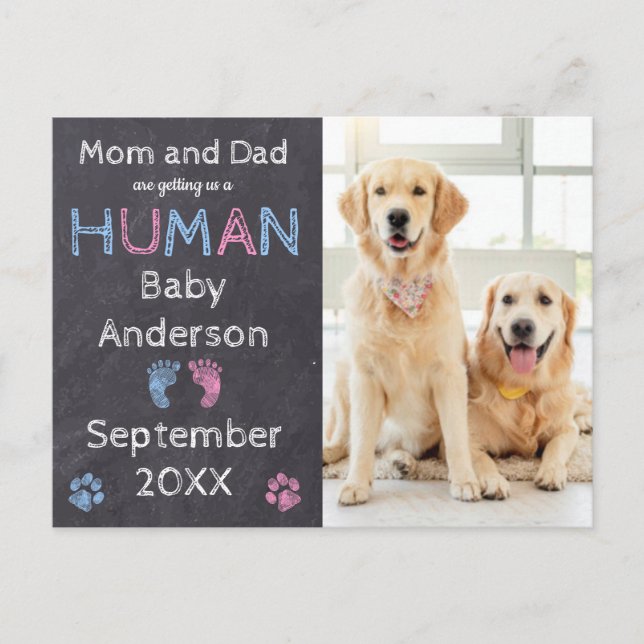 Anúncio Cartão postal de aviso de gravidez de cão (Frente)