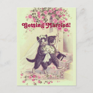 Anúncio Cartão Postal de Casamento dos Gatos Salve a Data