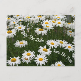 Anúncio Cartão postal de flores de margarida de verão para