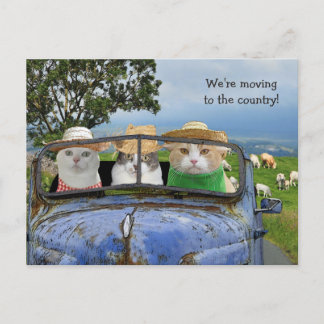 Anúncio Cartão postal de gatos engraçados se mudando