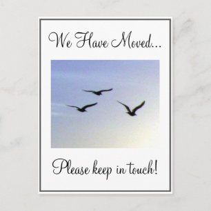 Anúncio Cartão Postal de Mudança de Endereço de Pássaros V