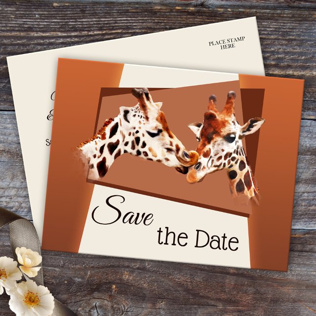 Anúncio Cartão postal de salvar a data do Safari Zoo da gi (Cute and romantic zoo or safari Save the Date postcard with a painting of giraffes in love)