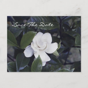 Anúncio Cartão postal de save the date da encantadora gard