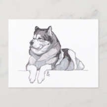 Cartão postal do Alasca Malamute de 2019