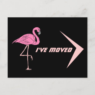 Anúncio Cartão postal Flamingo, movi o novo PC de endereço