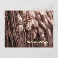 Cartão postal rede de pesca nós nos mudamos