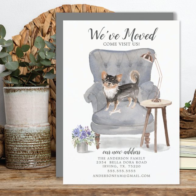 Anúncio Chihuahua Dog, mudamos o lançamento (Criador carregado)