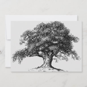 Anúncio Cinzas do partido da reunião da ascendência da