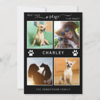 Colagem de Fotos Moderna Pet Announl fur Baby