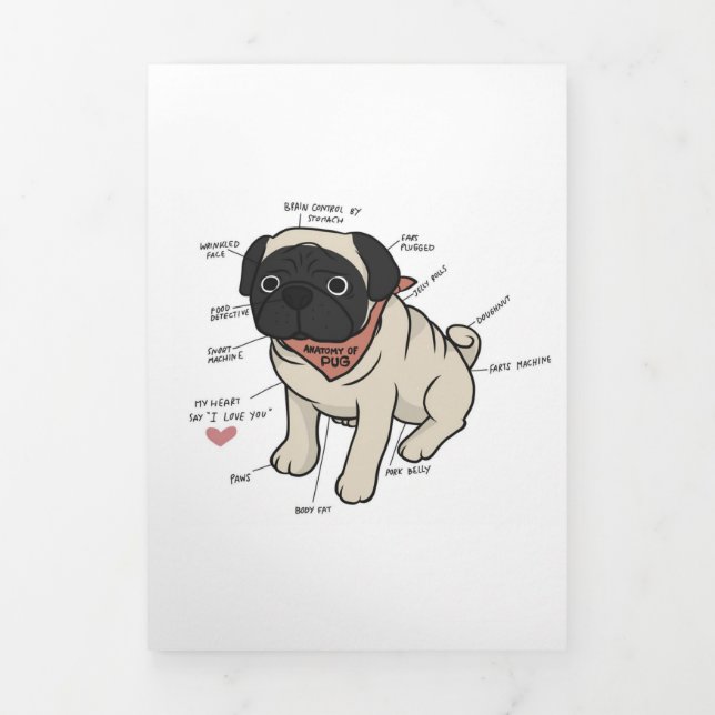 Anúncio Com Dobra Tripla Anatomia Do Cachorro Pug (Cobrir)