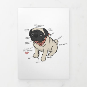Anúncio Com Dobra Tripla Anatomia Do Gráfico De Cães Pug