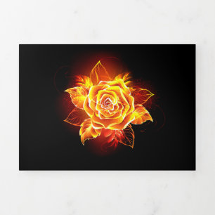 Anúncio Com Dobra Tripla Blooming Fire Rose
