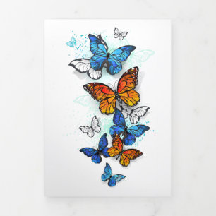 Anúncio Com Dobra Tripla Borboletas voadoras Morpho e Monarca