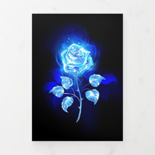 Anúncio Com Dobra Tripla Gravação de Rosa Azul