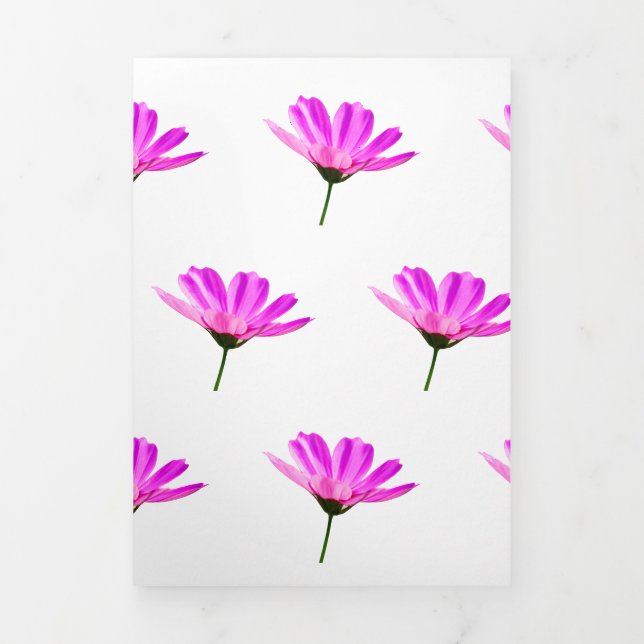 Anúncio Com Dobra Tripla Margarida Rosa  (Cobrir)