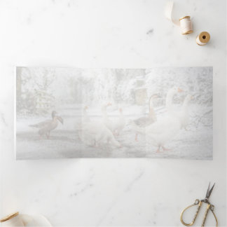 Anúncio Com Dobra Tripla natural Christmas