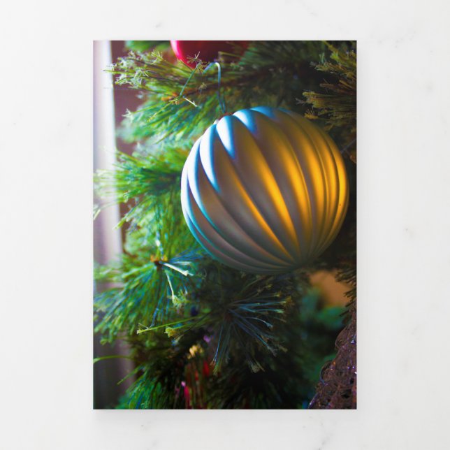 Anúncio Com Dobra Tripla Prata quente (Cobrir)