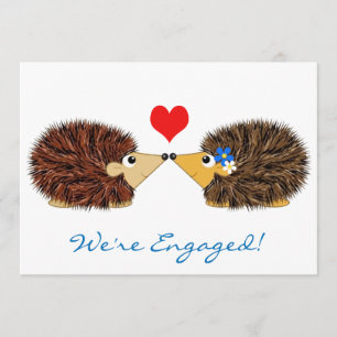 Anúncio Cuddley Hedgehogs estamos envolvidos