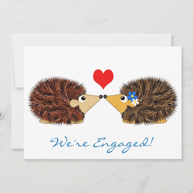 Anúncio Cuddley Hedgehogs estamos envolvidos (Frente)