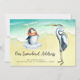 Anúncio Cute Penguin Blue Heron Beach Snowbird Endereço
