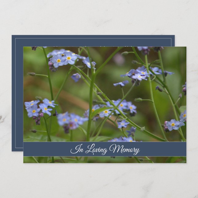 Anúncio da cerimonia comemorativa do miosótis (Frente/Verso)