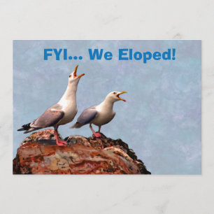 Anúncio da gaivota nós Eloped